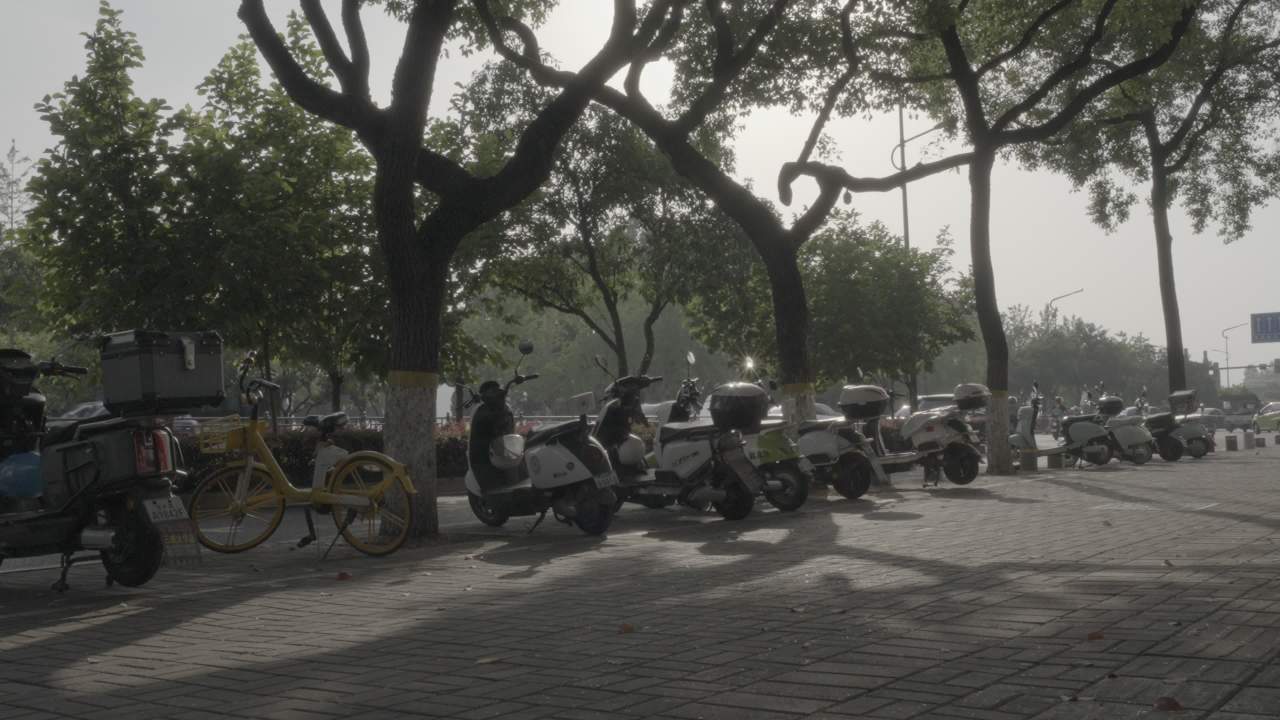 宜昌江边 10