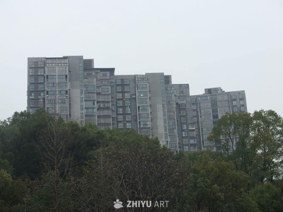 划船 29