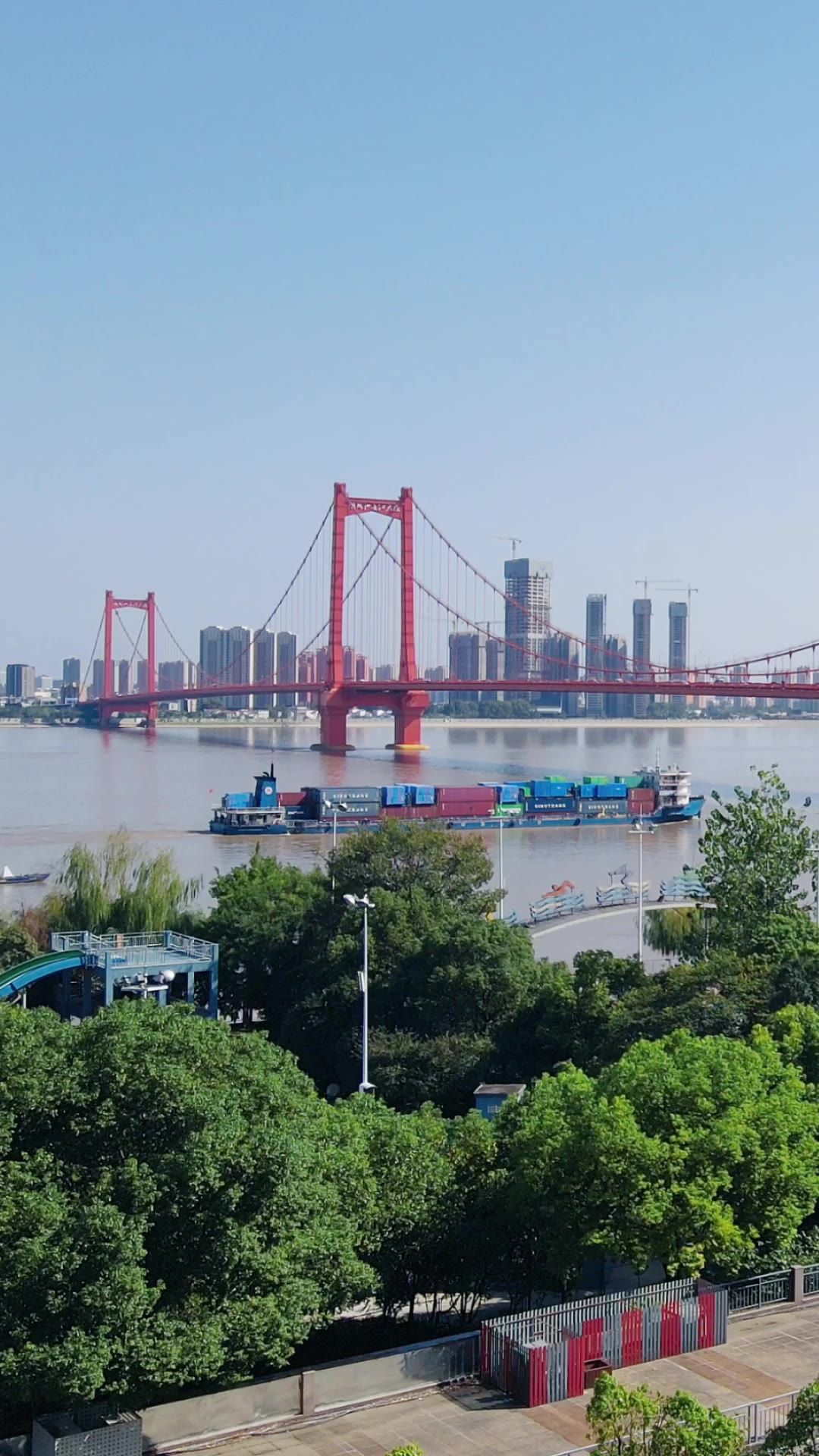  城市航拍武汉鹦鹉洲大桥竖屏航拍
