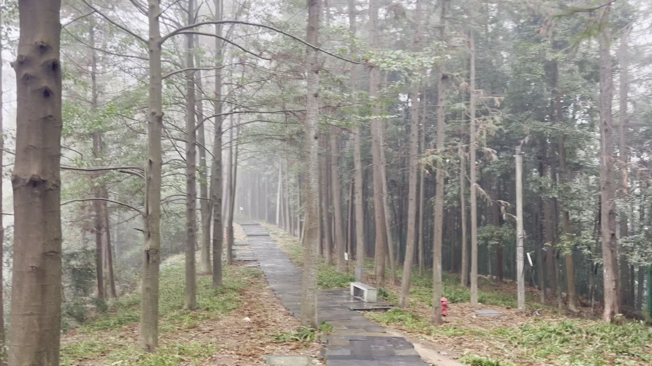 桃花源景区
