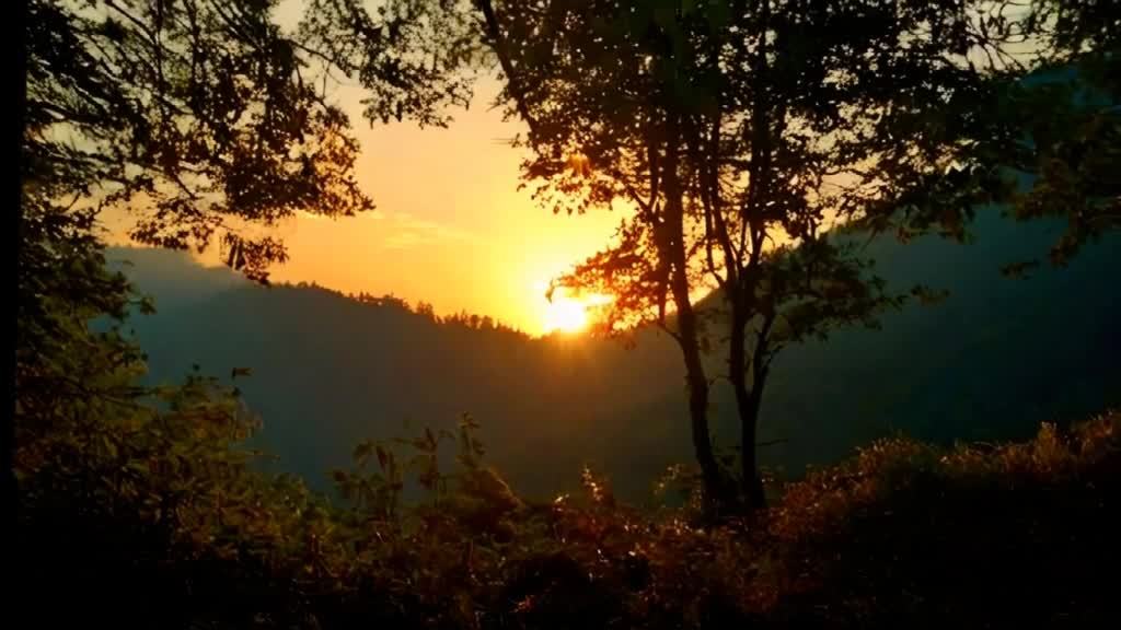 森林中，太阳正落山，天空呈现橙黄色。远处的山脉轮廓