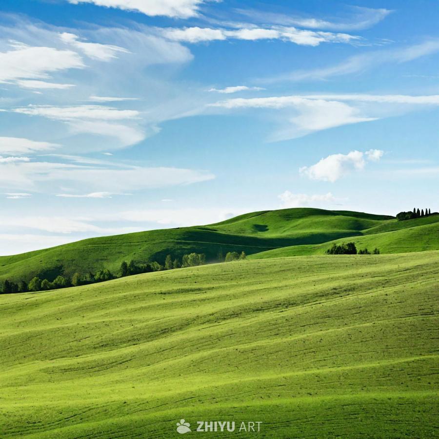 广阔的绿色草地横跨整个画面，舒缓的丘陵和山谷构成一