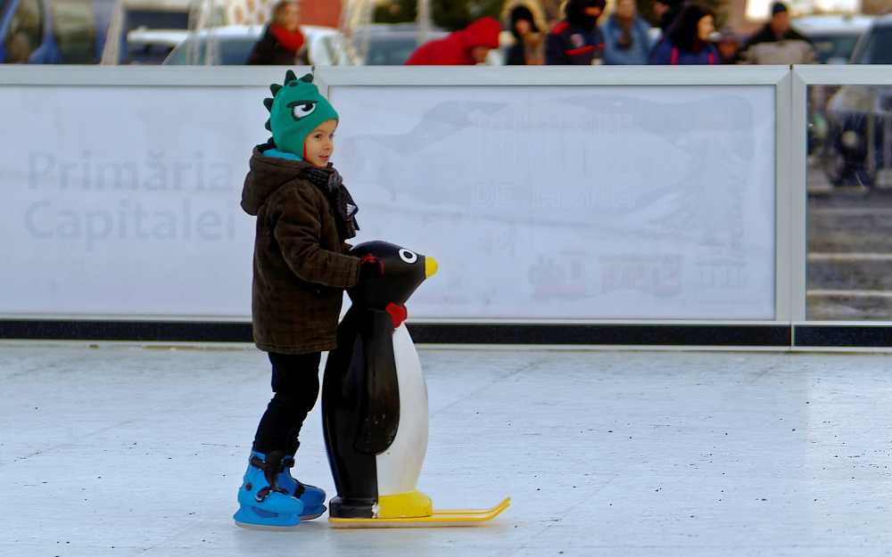儿童溜冰场支持企鹅