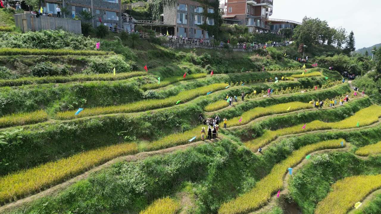 溆浦花瑶山背梯田丰收节