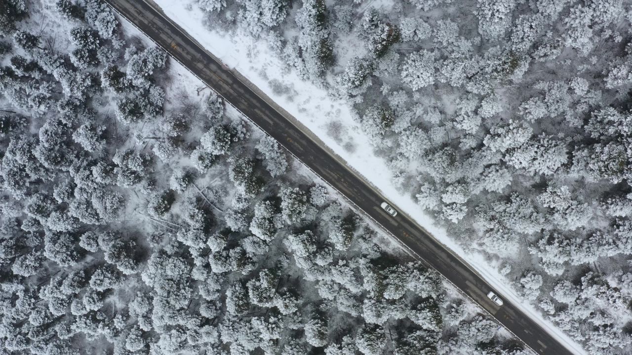 航拍汽车行驶在大雪纷飞的鲁朗林海中的川藏公路上