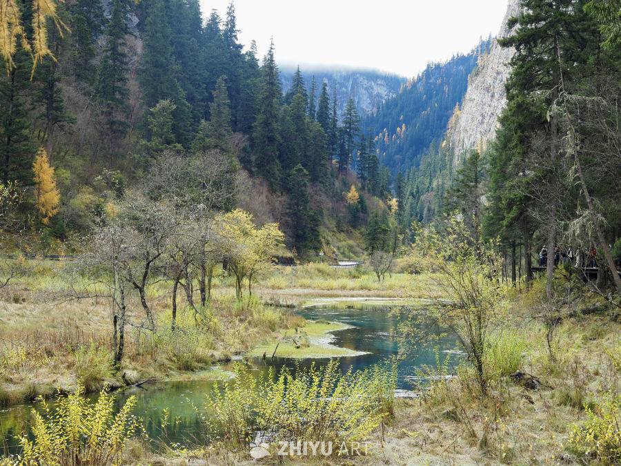 川西九寨/毕棚沟/四姑娘山 4