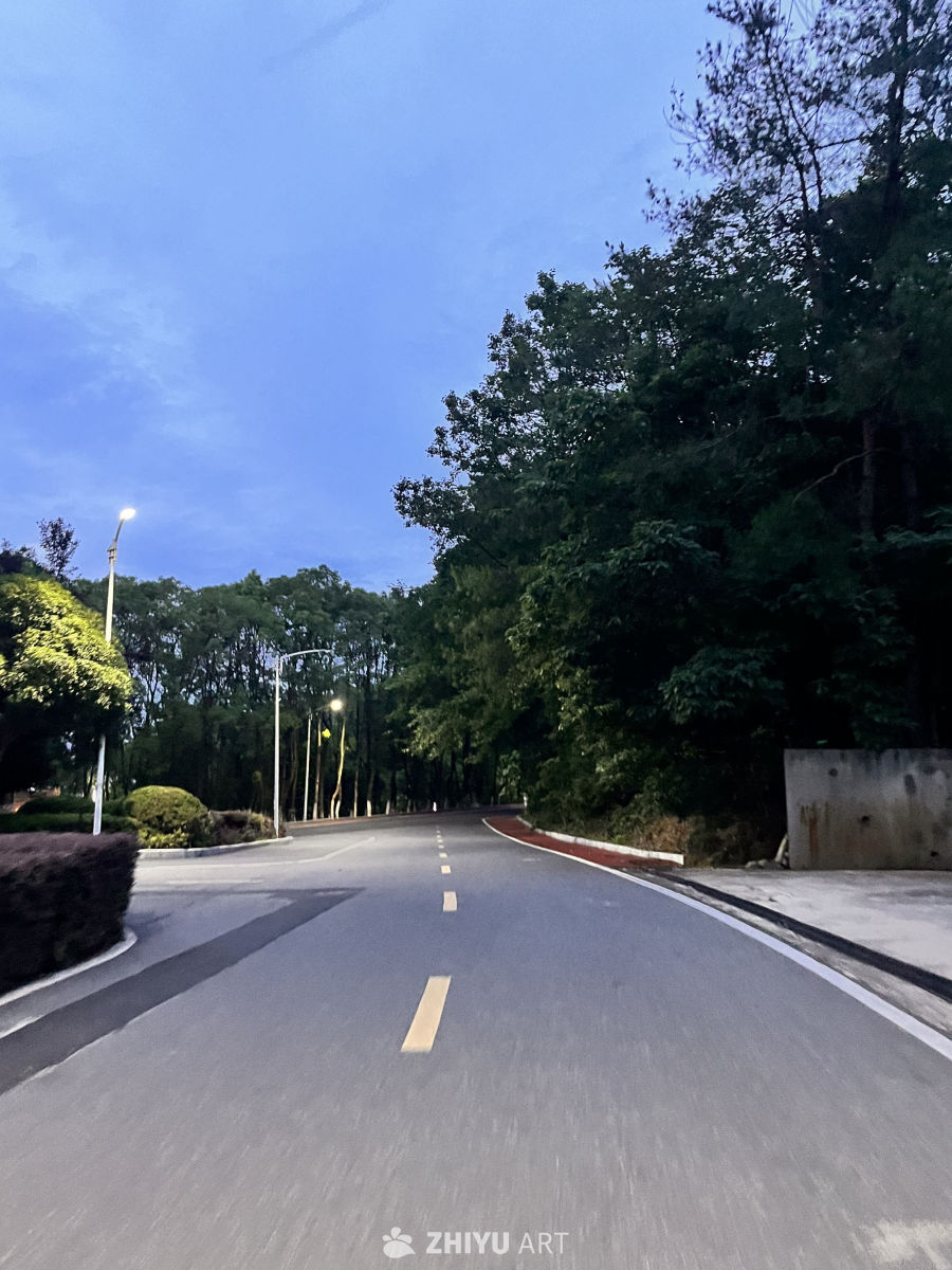 夜幕下的林间小道
