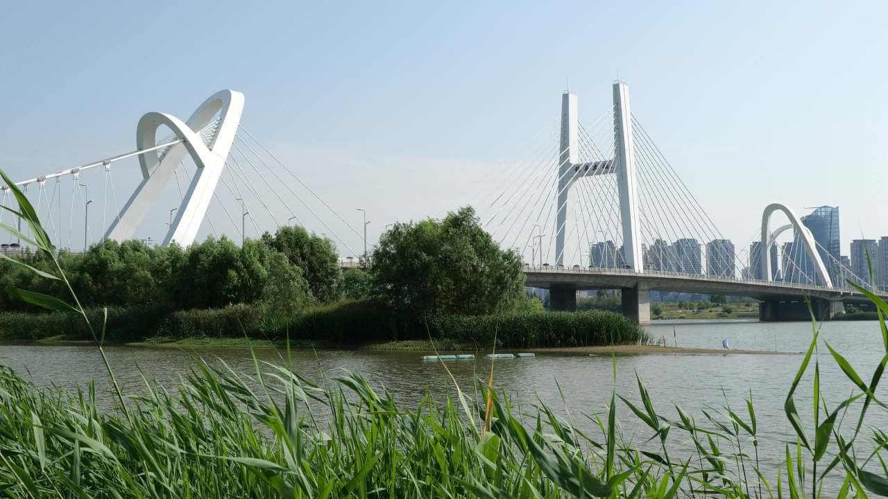 湿地公园一角 2