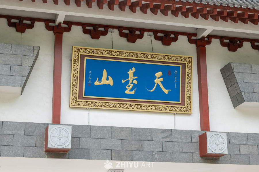 森林公园 24