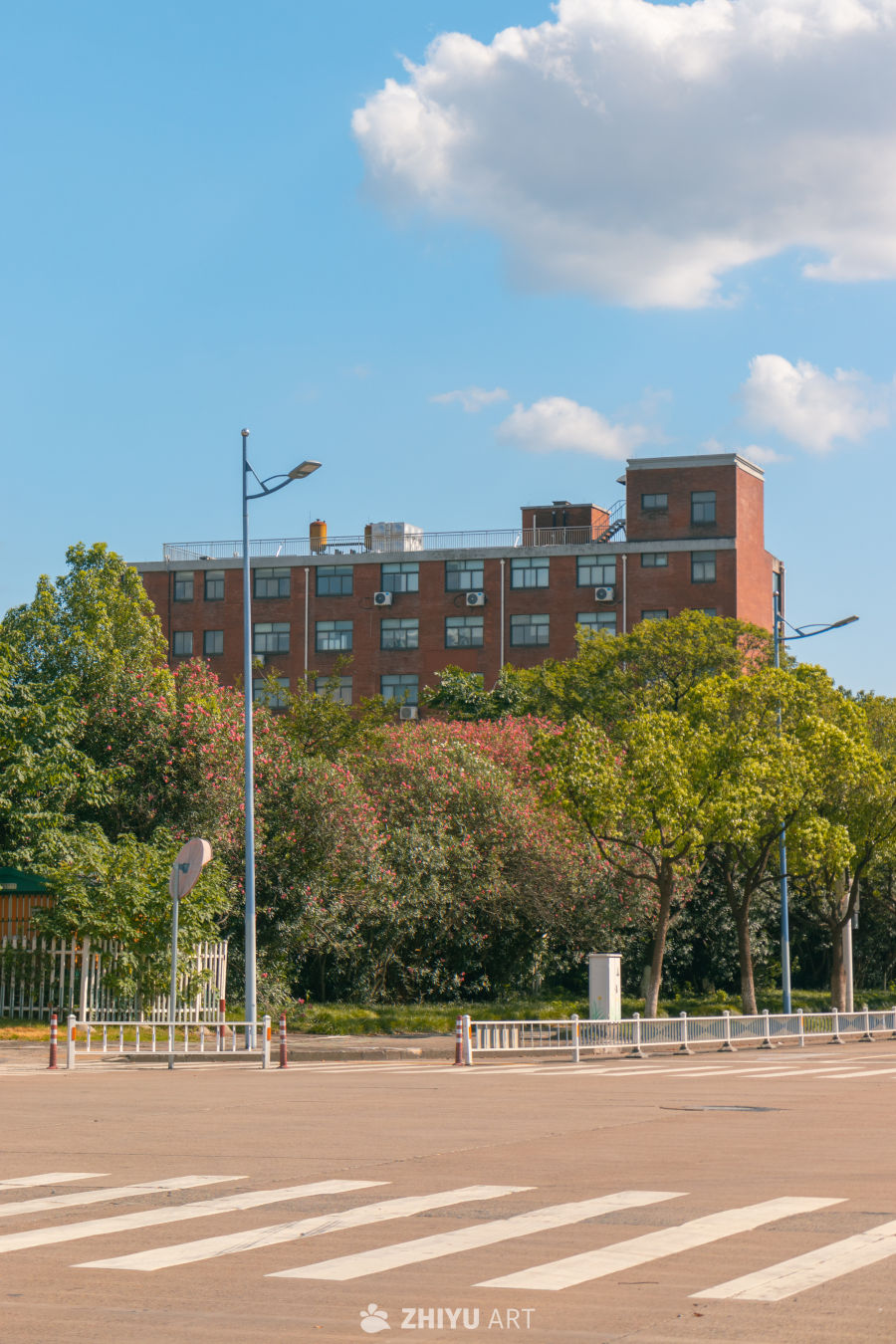 红砖建筑与绿树花丛的街景