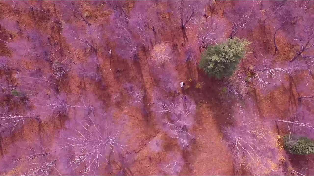 新疆草原四季风景