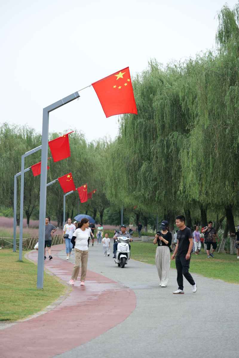 喜迎国庆 国庆 五星红旗迎风飘扬 人与自然 45
