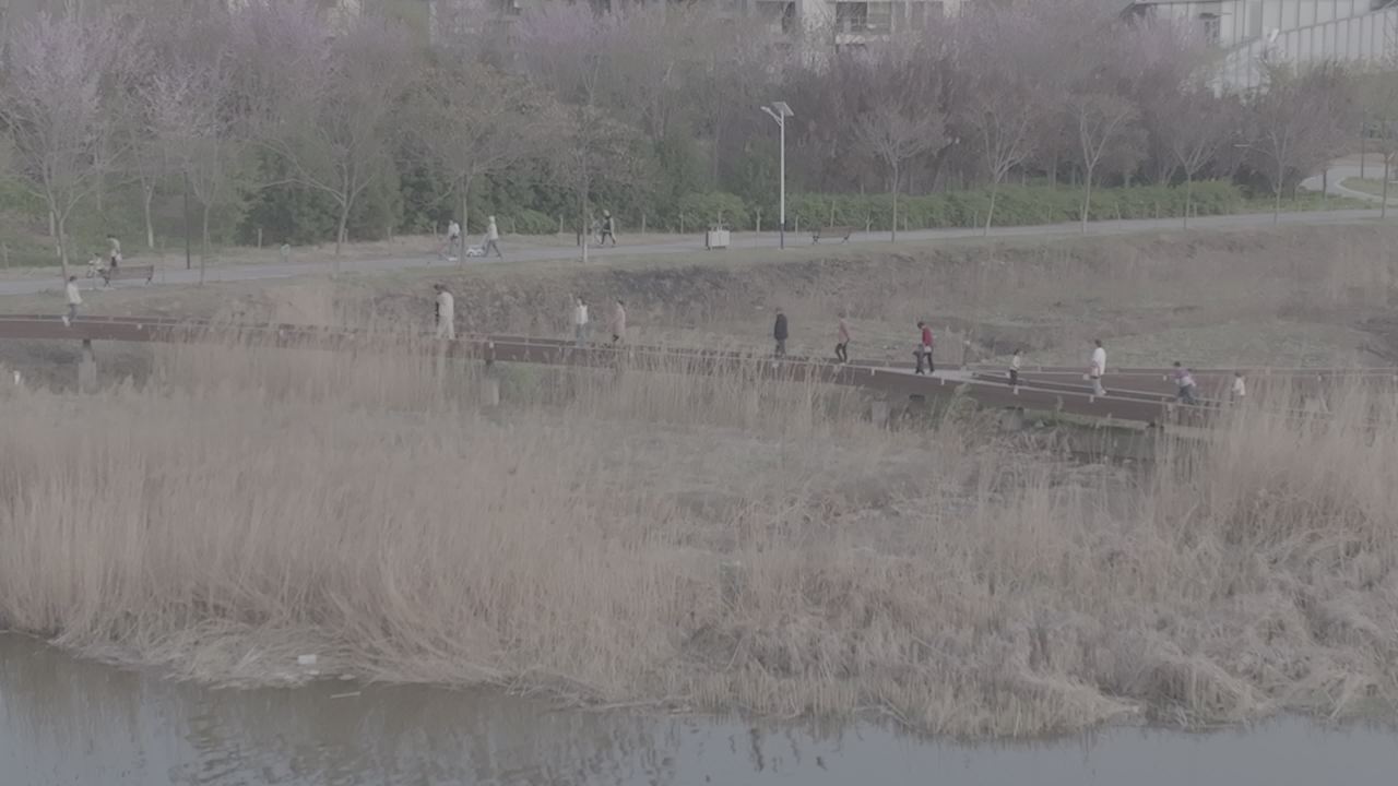 公园里的日常时光