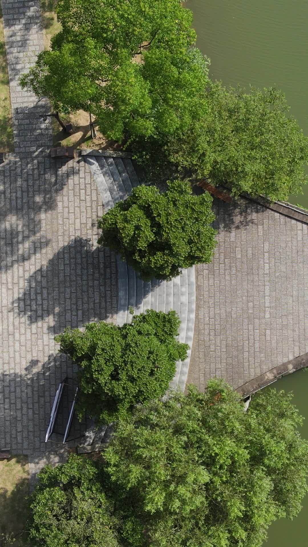 湖畔静谧步道