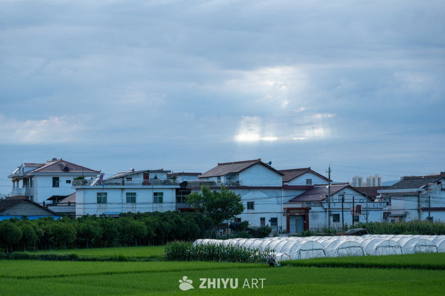 城市风景 50