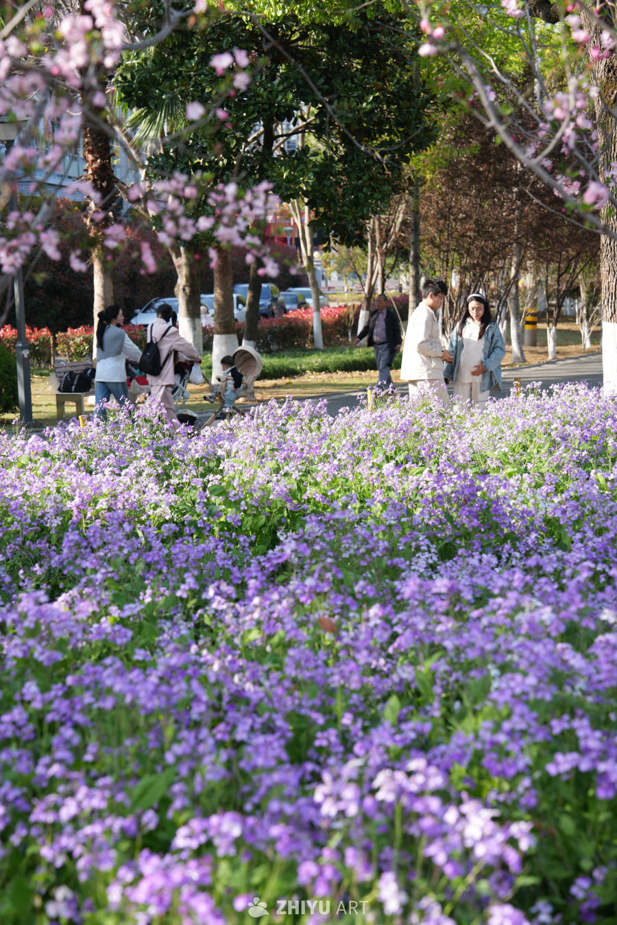春日公园漫步