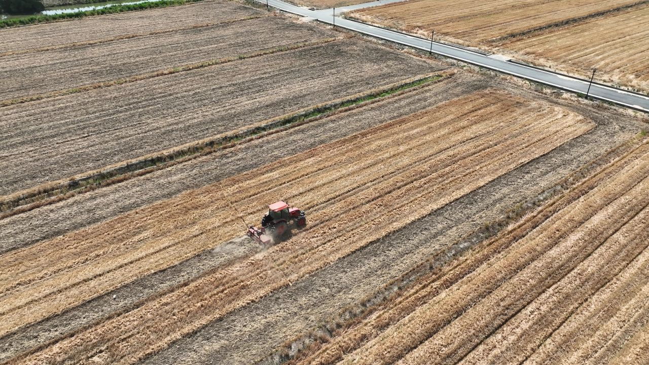 4K航拍昆山农业夏收 15