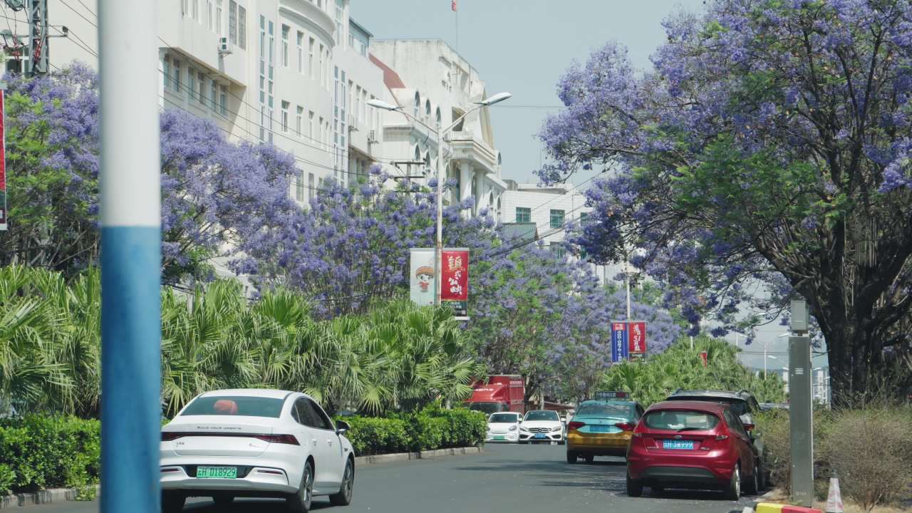 城市街道的春天