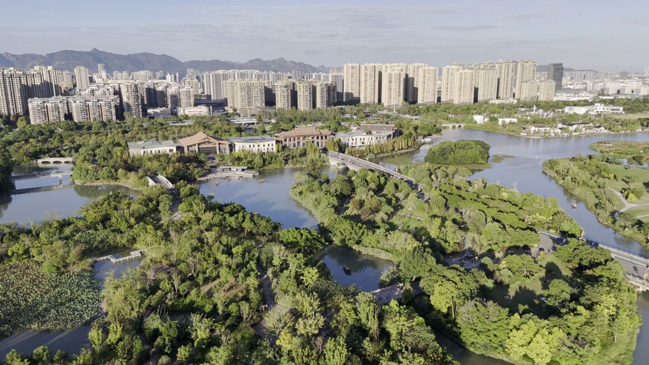 温州三垟湿地风光 21