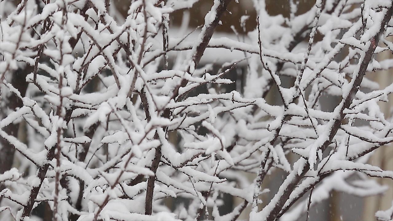 实拍风雪交加