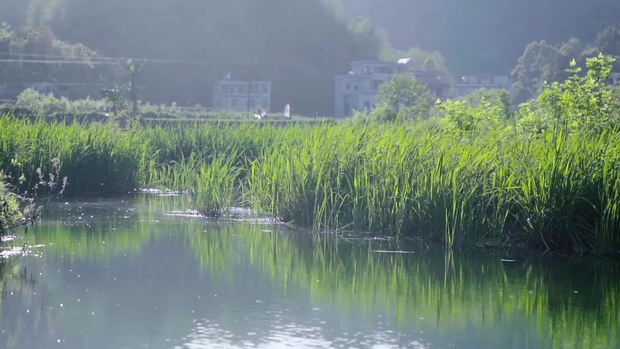 湖畔静谧时光