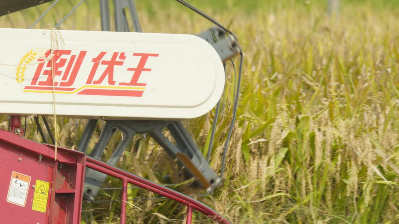 农用机械收割机三农丰收 1