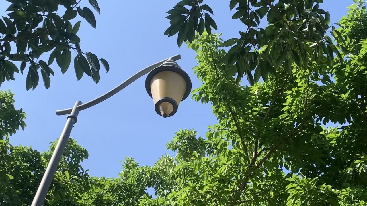 深圳湾公园一角