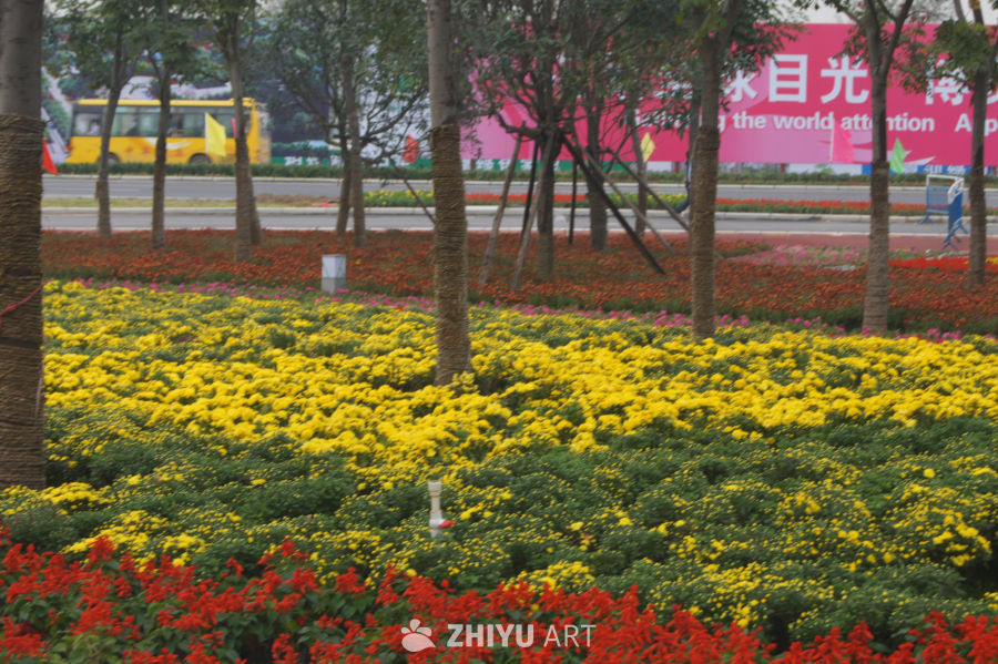 花海中的城市风景