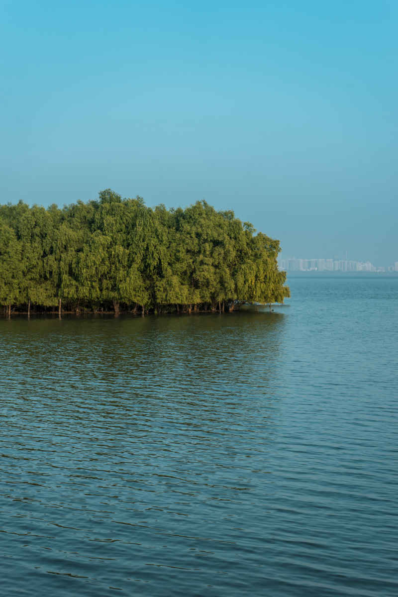 深圳湾公园