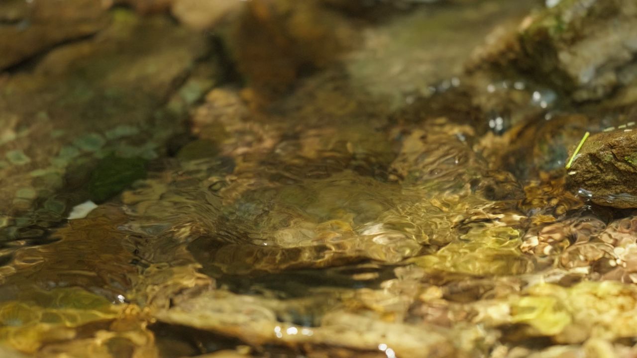 清澈山泉水温泉矿泉水小溪山涧 10