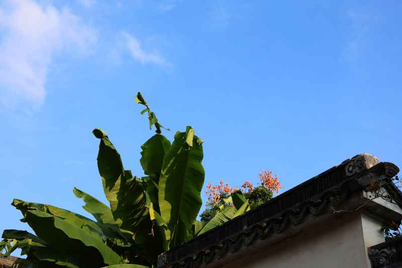 秋日晴空