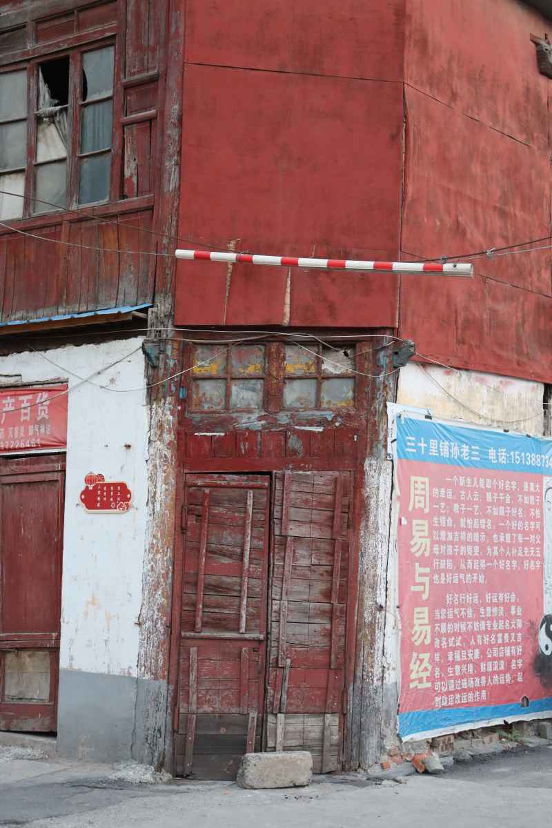 春游随拍1 73