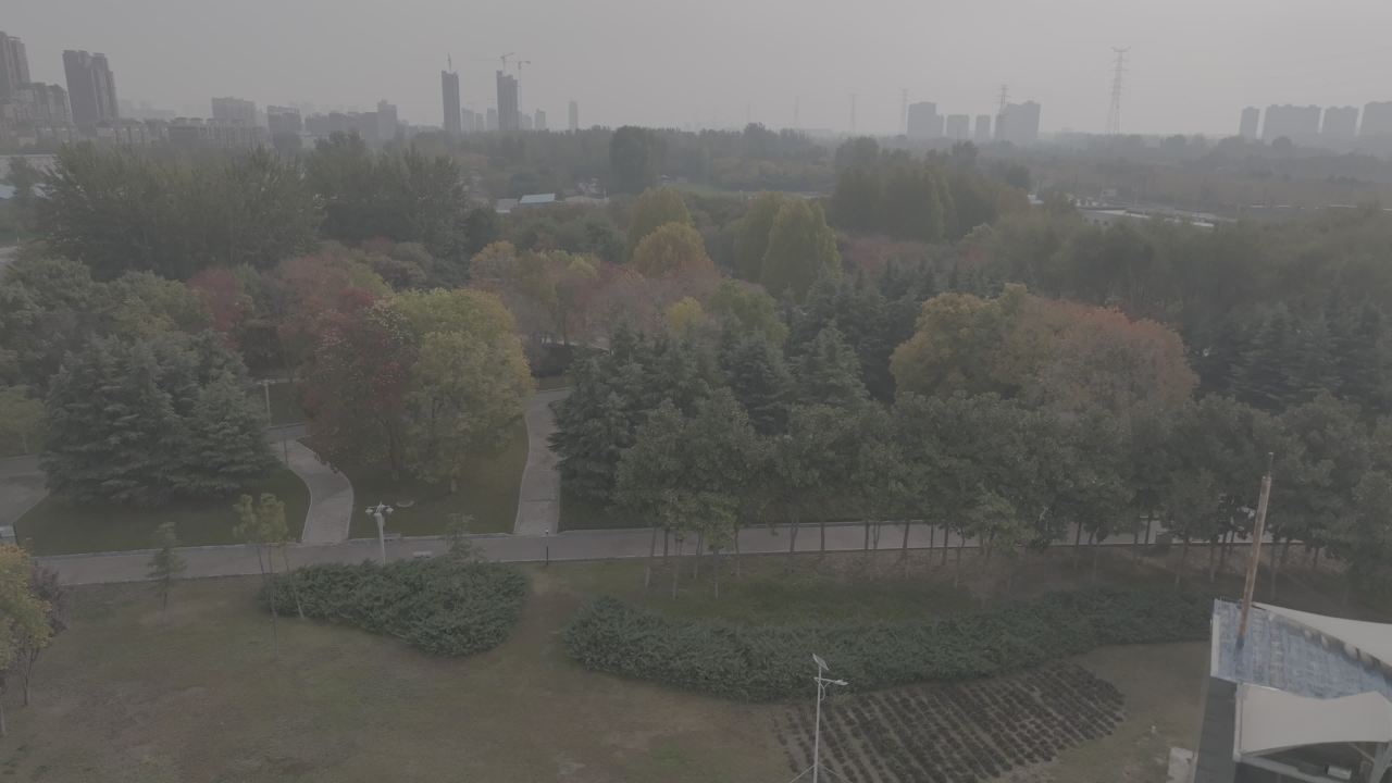 雾中公园秋色