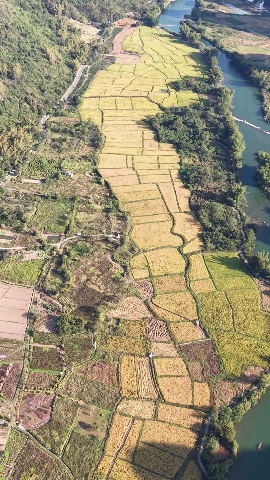 田园风光航拍