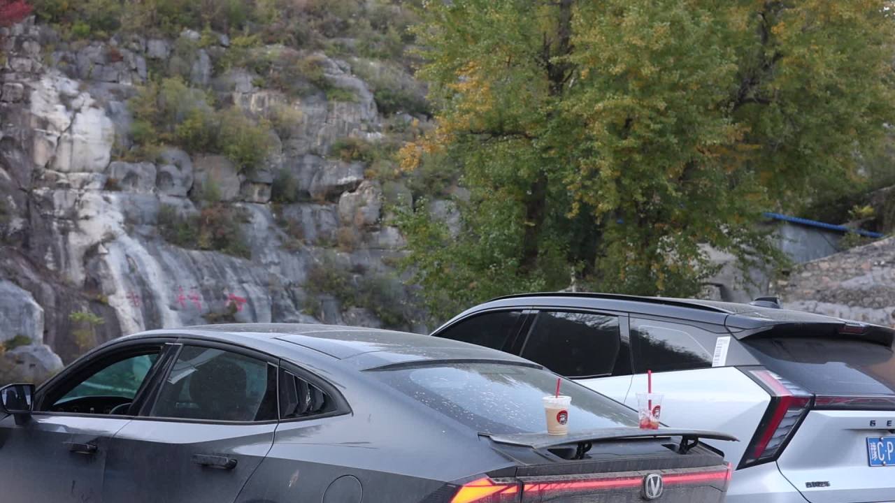 【实拍样片】佳能EOS R7相机实拍原片视频 15