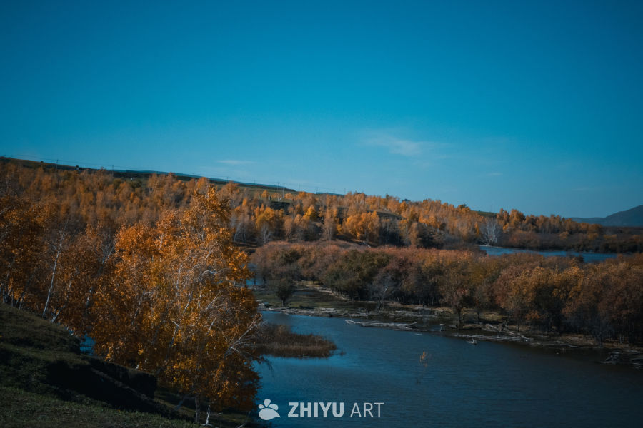 秋日河畔金黄景