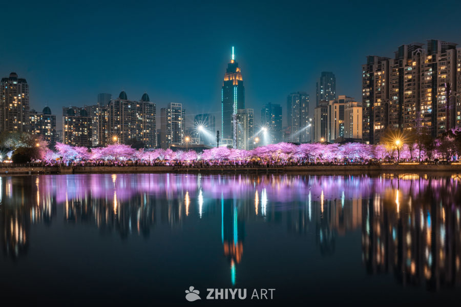 武汉西北湖樱花夜景