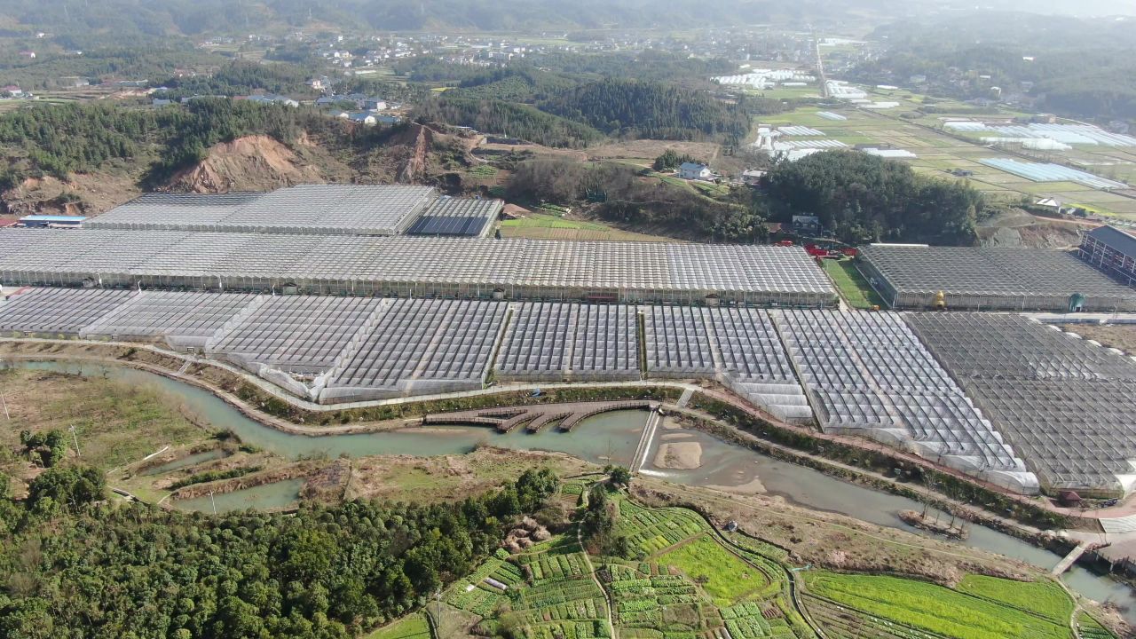 航拍现代农业大棚种植基地