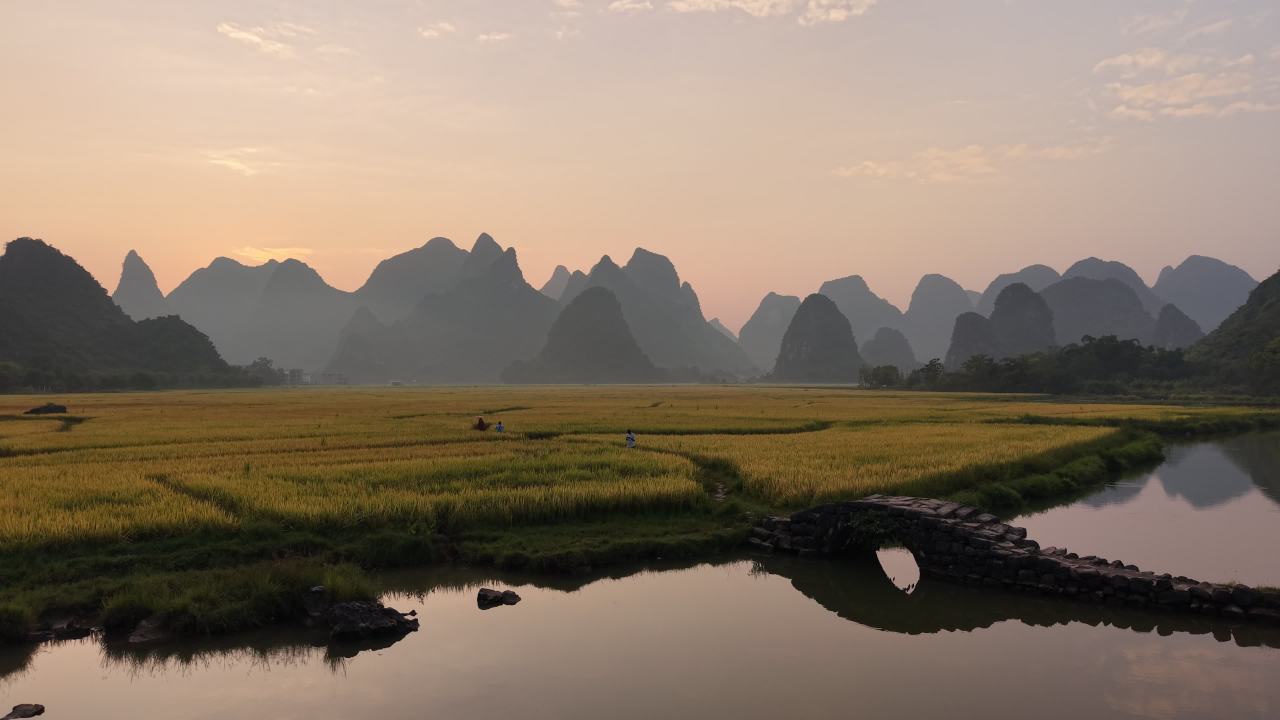 金色稻田山水晨光邂逅秋季日出丨桂林状元桥