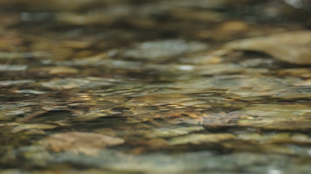清澈山泉水温泉矿泉水小溪山涧 43