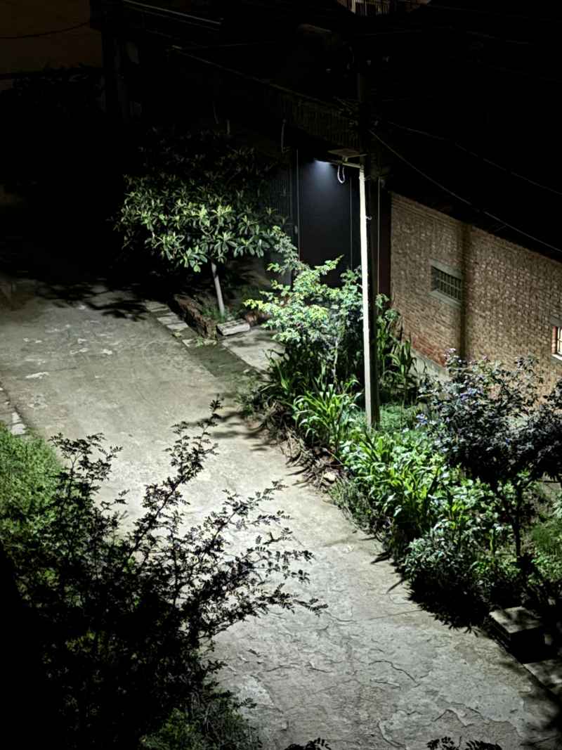 夜晚农村街道