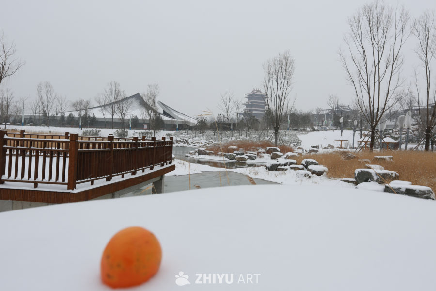 冬日雪景中的宁静时光