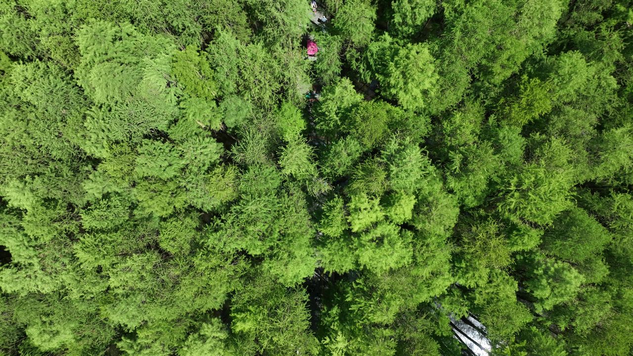 4K航拍临安青山湖景区