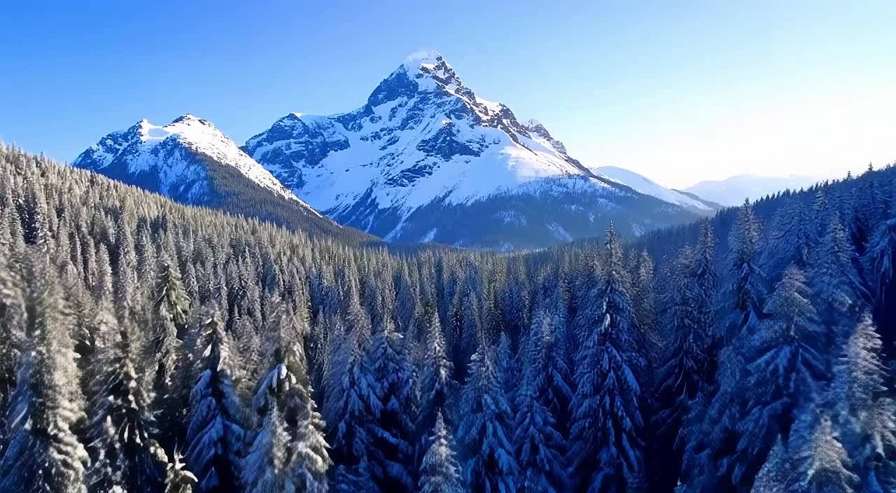 一座高耸的山峰矗立在广阔的雪覆盖的森林山谷之上。镜