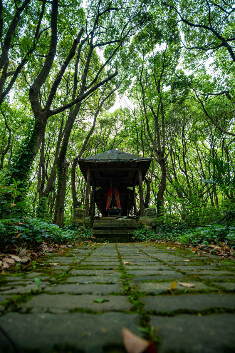 废墟 1
