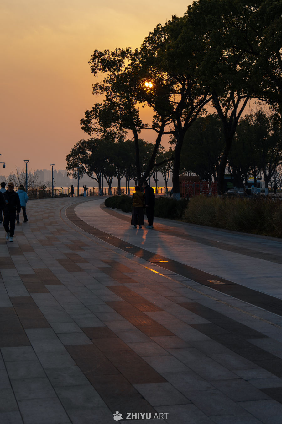 黄昏漫步：树影下的温馨时光