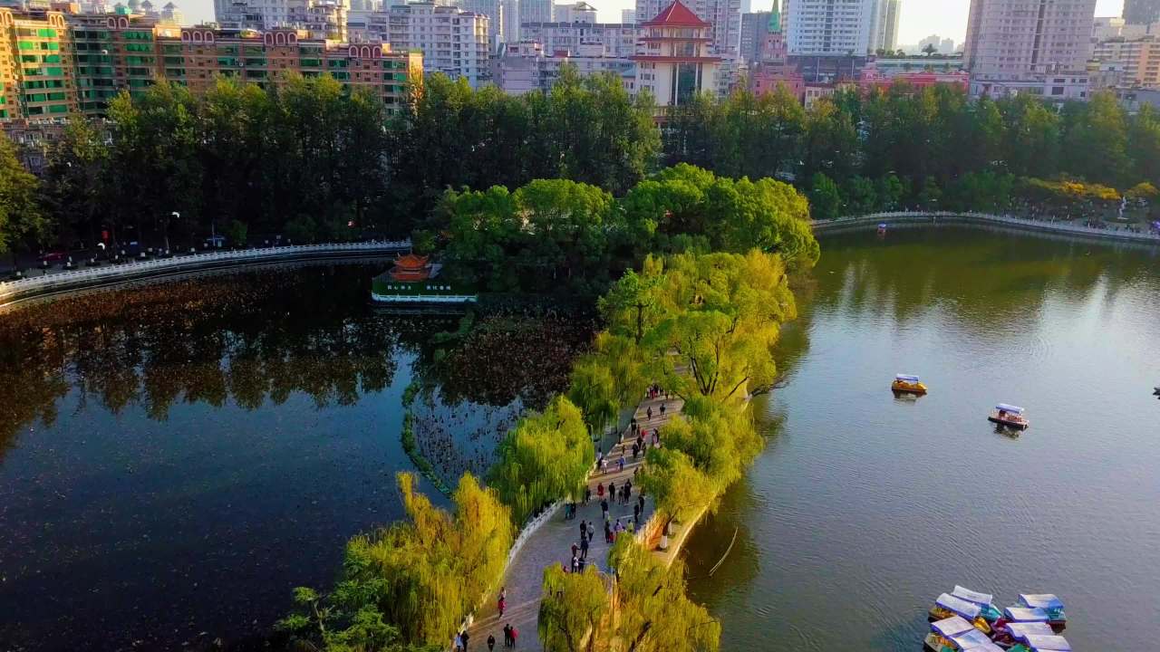 城市湖畔的宁静时光