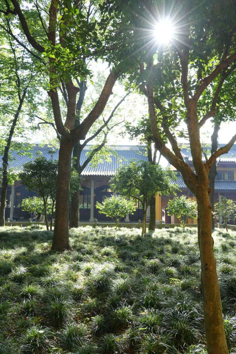杭州灵隐寺