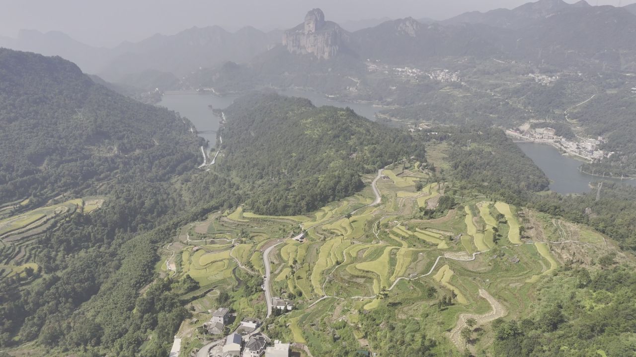 温州中雁荡山与梯田水稻 1