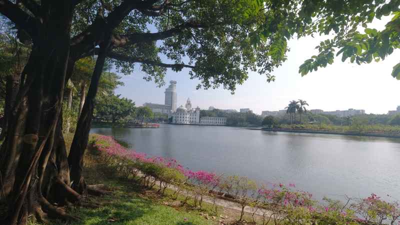 公园 43